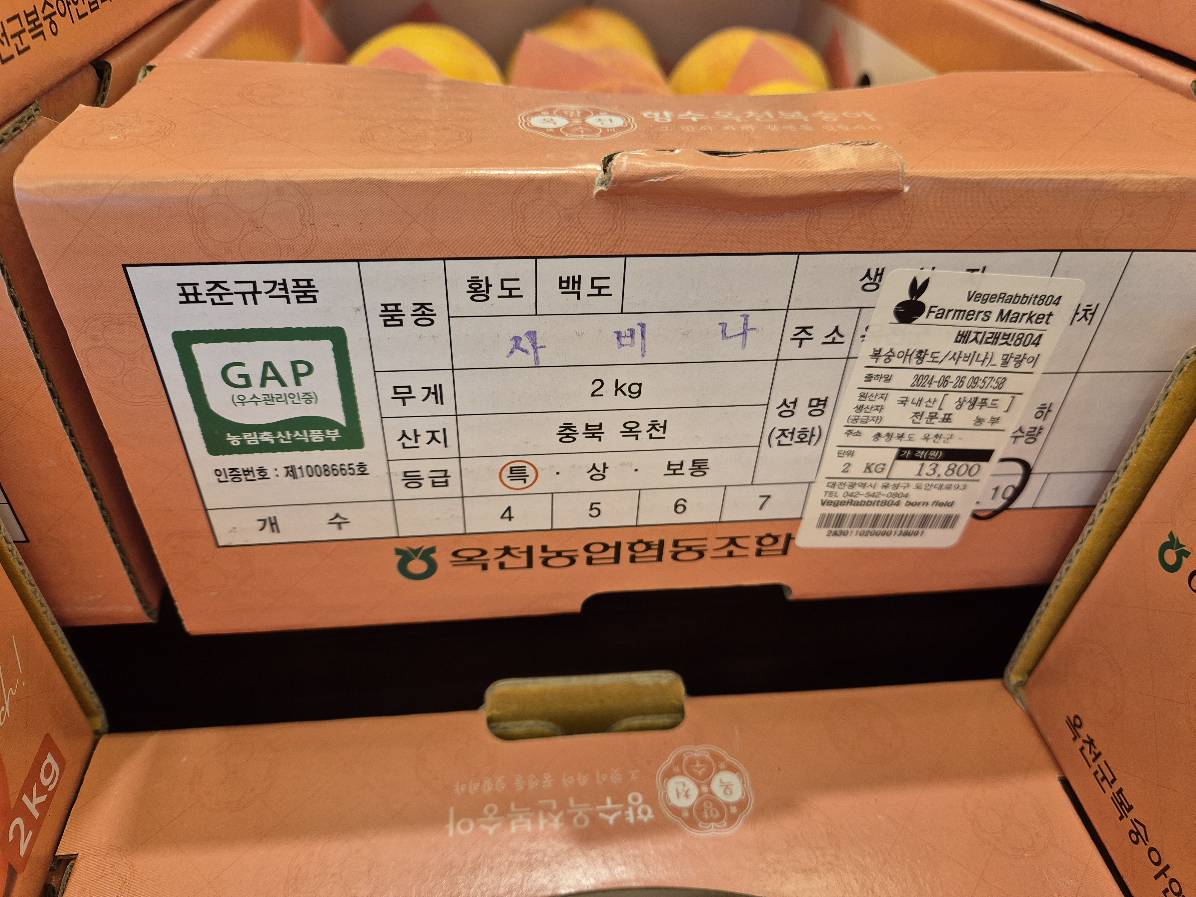 옥천에서 맛있는 사비나 복숭아가 왔습니다.