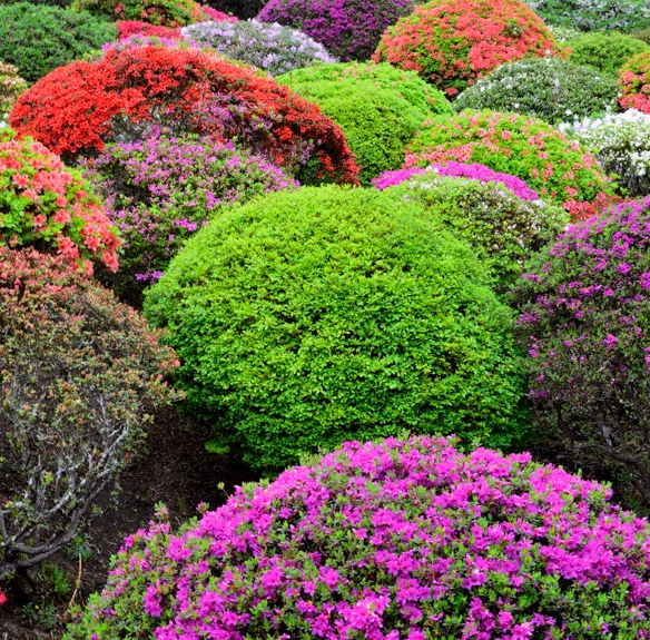 화담숲 예약 색채원