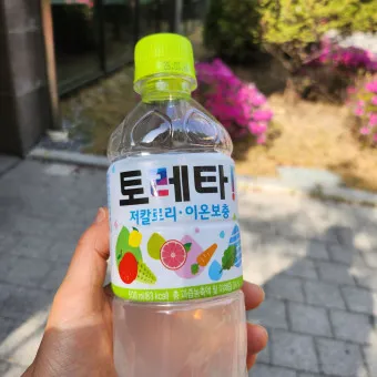 이온음료 효능 종류 부작용 추천_7