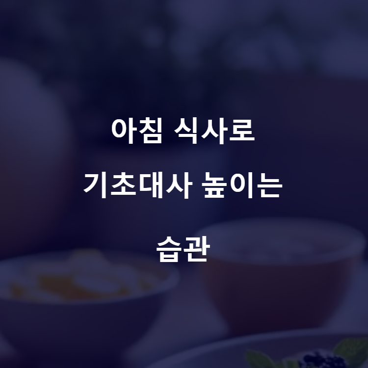아침식사로 기초대사 높이는 습관