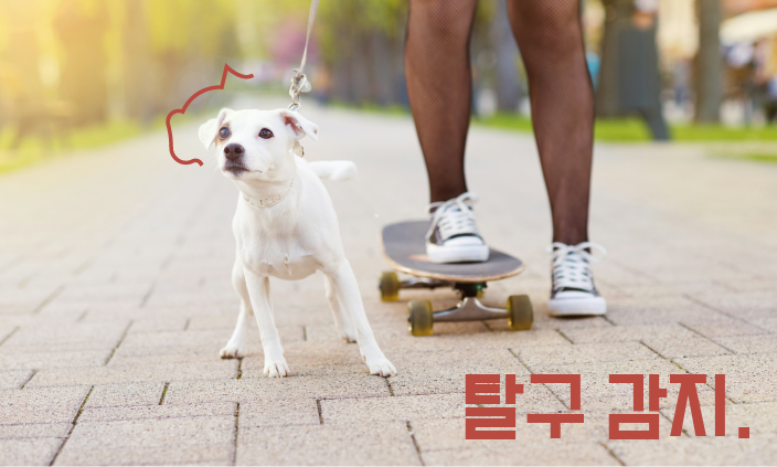 슬개골-탈구