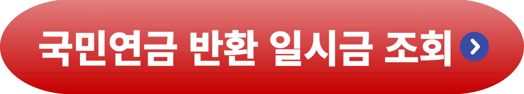 국민연금 반환 일시금 조회