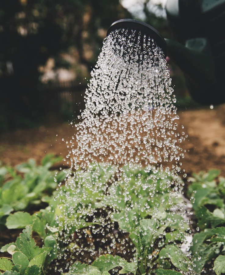 자고 일어나면 어지러움