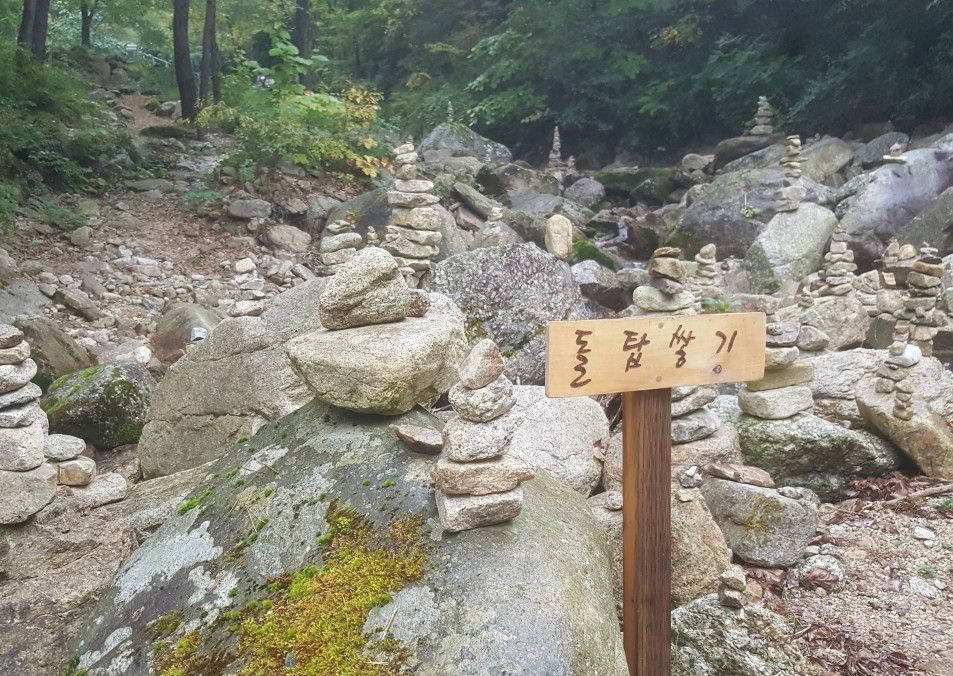 황정산자연휴양림