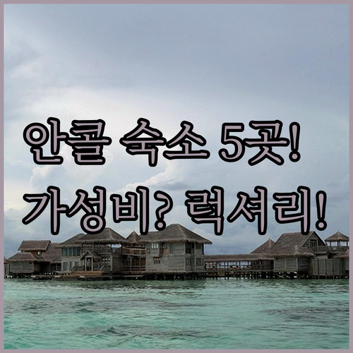 가성비와 럭셔리 사이에서 고민된다면 ..