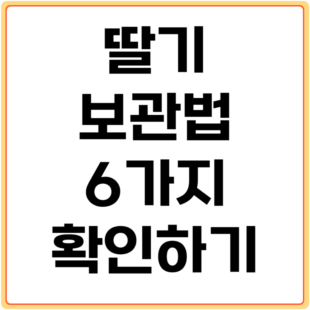 딸기-보관법-6가지