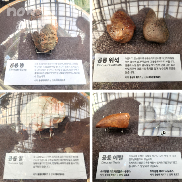 국립세종수목원