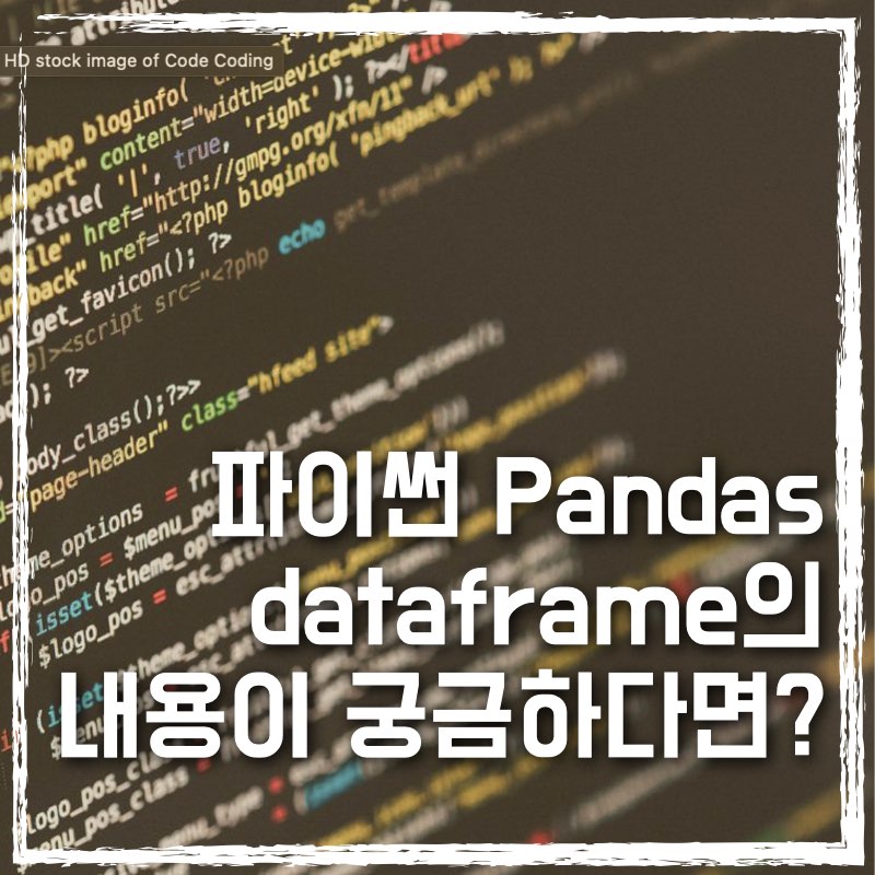 파이썬에서 데이터셋의 내용이 궁금할 때