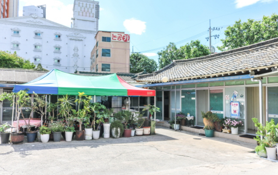 전현무계획-대구-봉덕동-매운-갈비찜-가마솥-곰탕-맛집-우미가식당의-마당겸-주차장인데-마당-안쪽에-화분들이-가지런히-놓여-있다