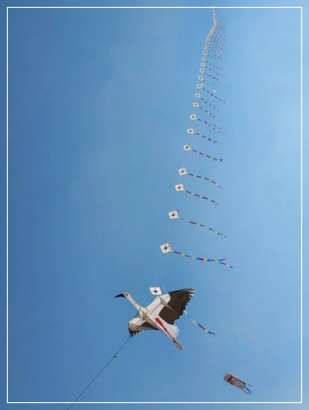 예산 가볼만한곳 베스트10 예산황새공원
