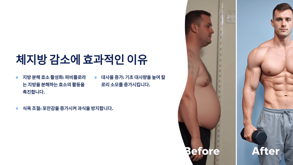 체지방 감소에 효과적인 이유