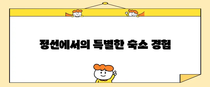 정선 여행에서 메이힐스 가성비 애견 동반 호텔 숙소를 추천합니다!