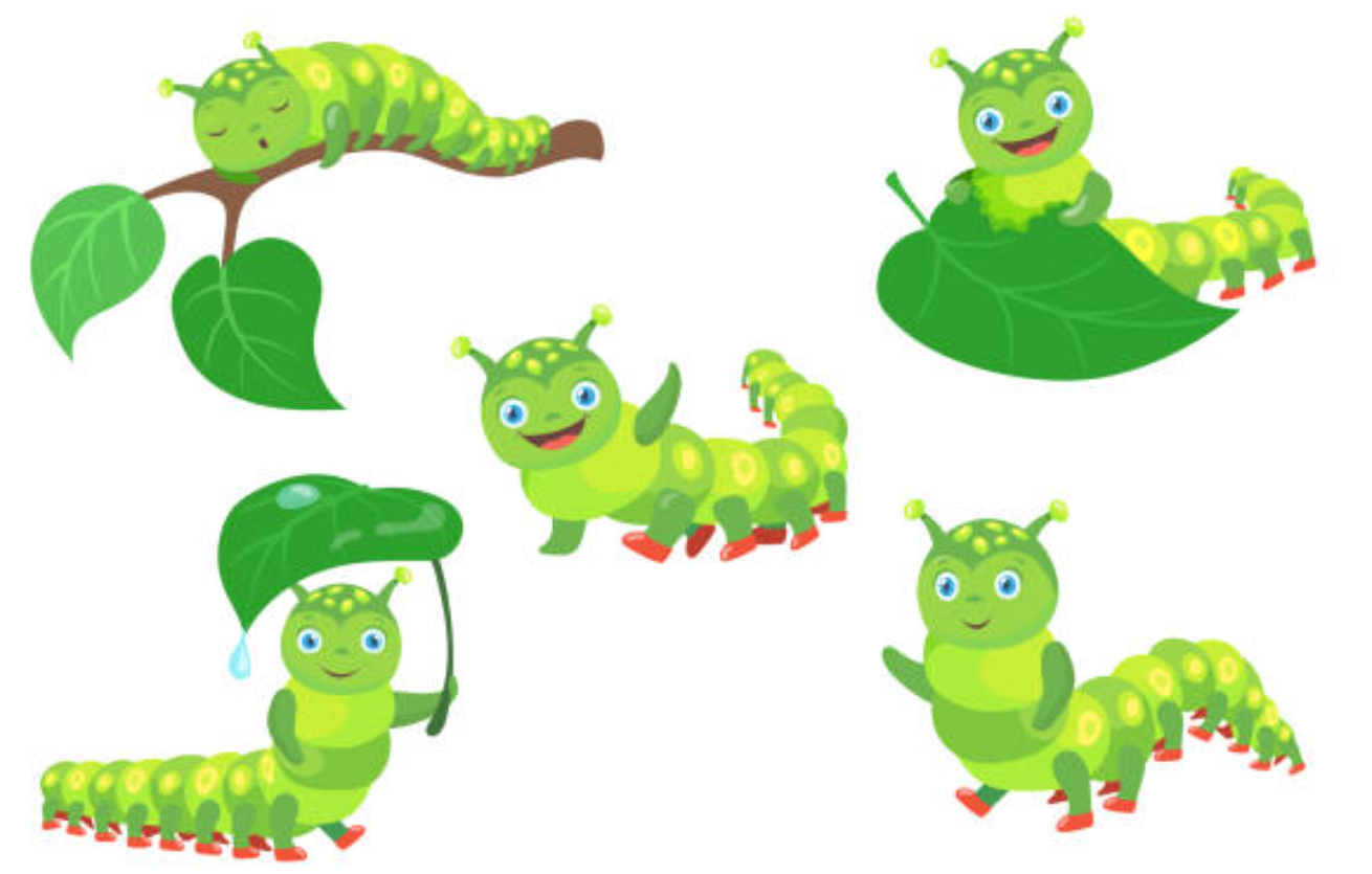 애벌레 귀여운 사진모음
