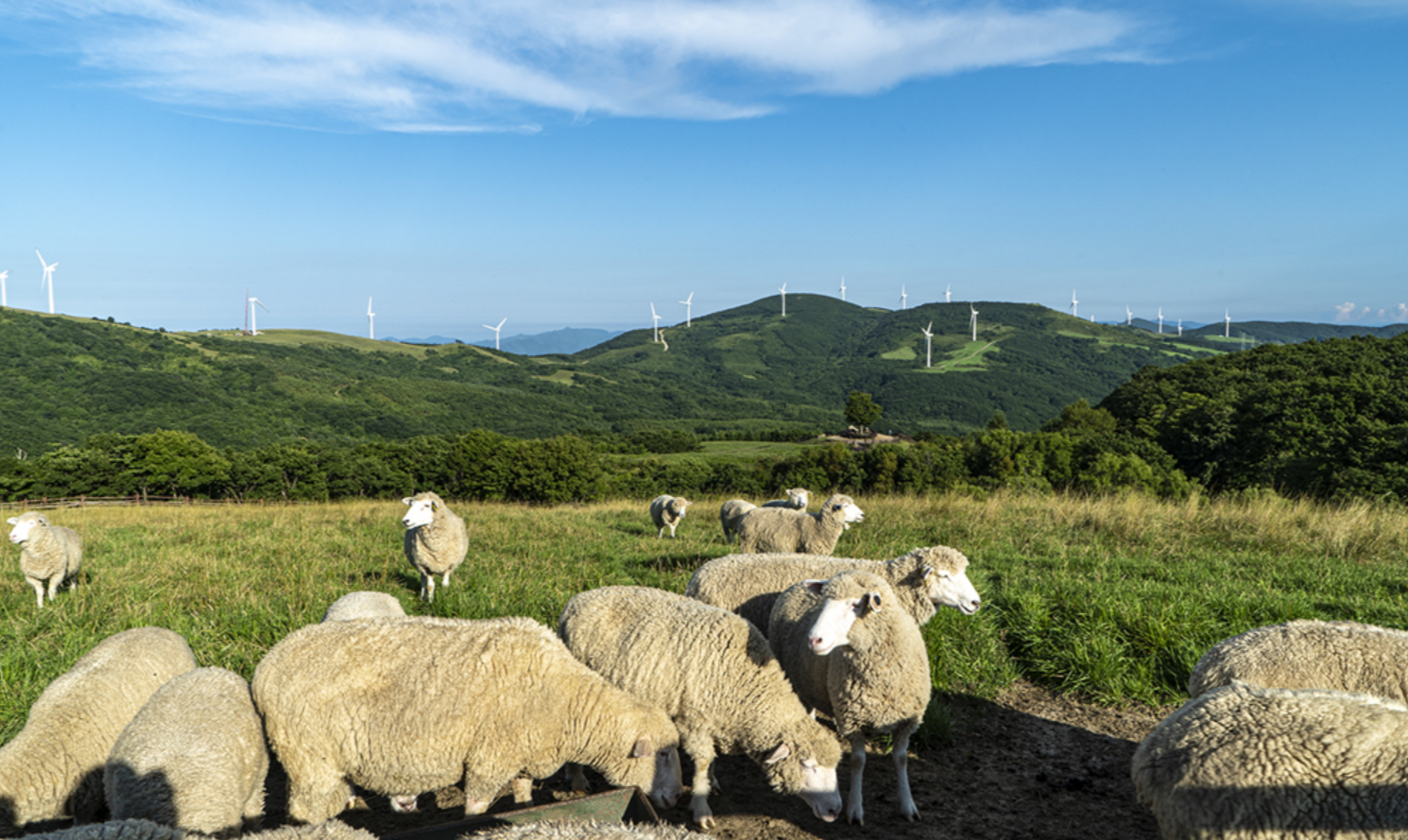 평창 가볼만한곳 베스트10 