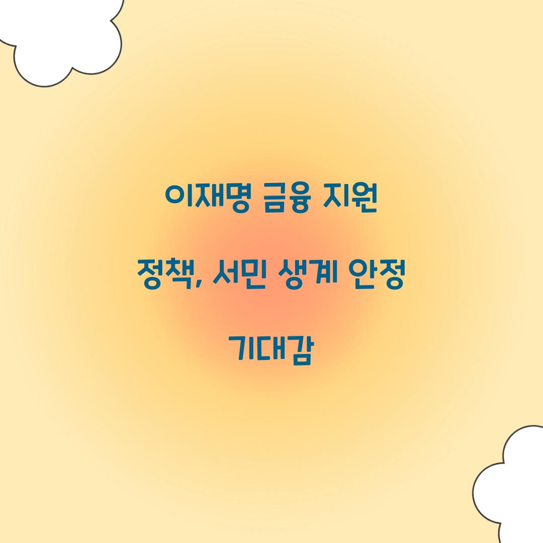 이재명 금융 지원