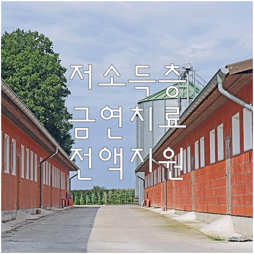 2025 저소득층 금연치료 지원 사업..