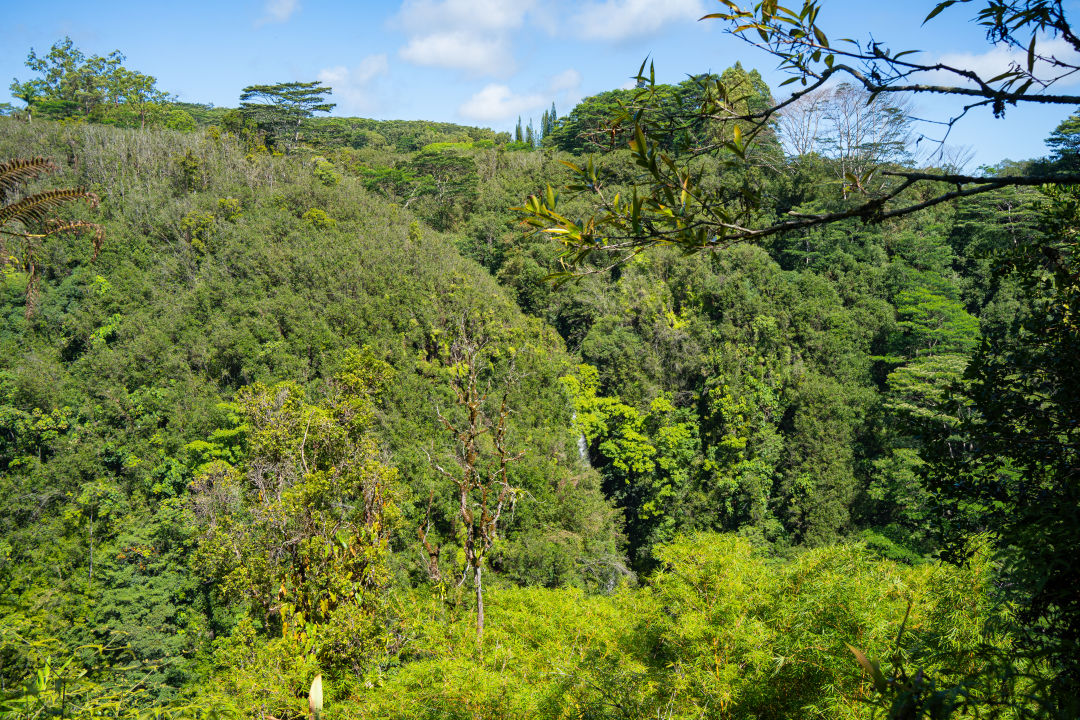 아카카 폭포 카하나 폭포