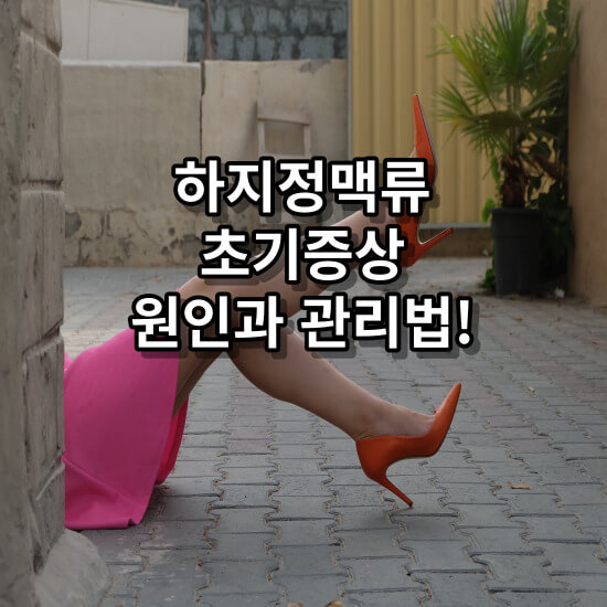 하지정맥류