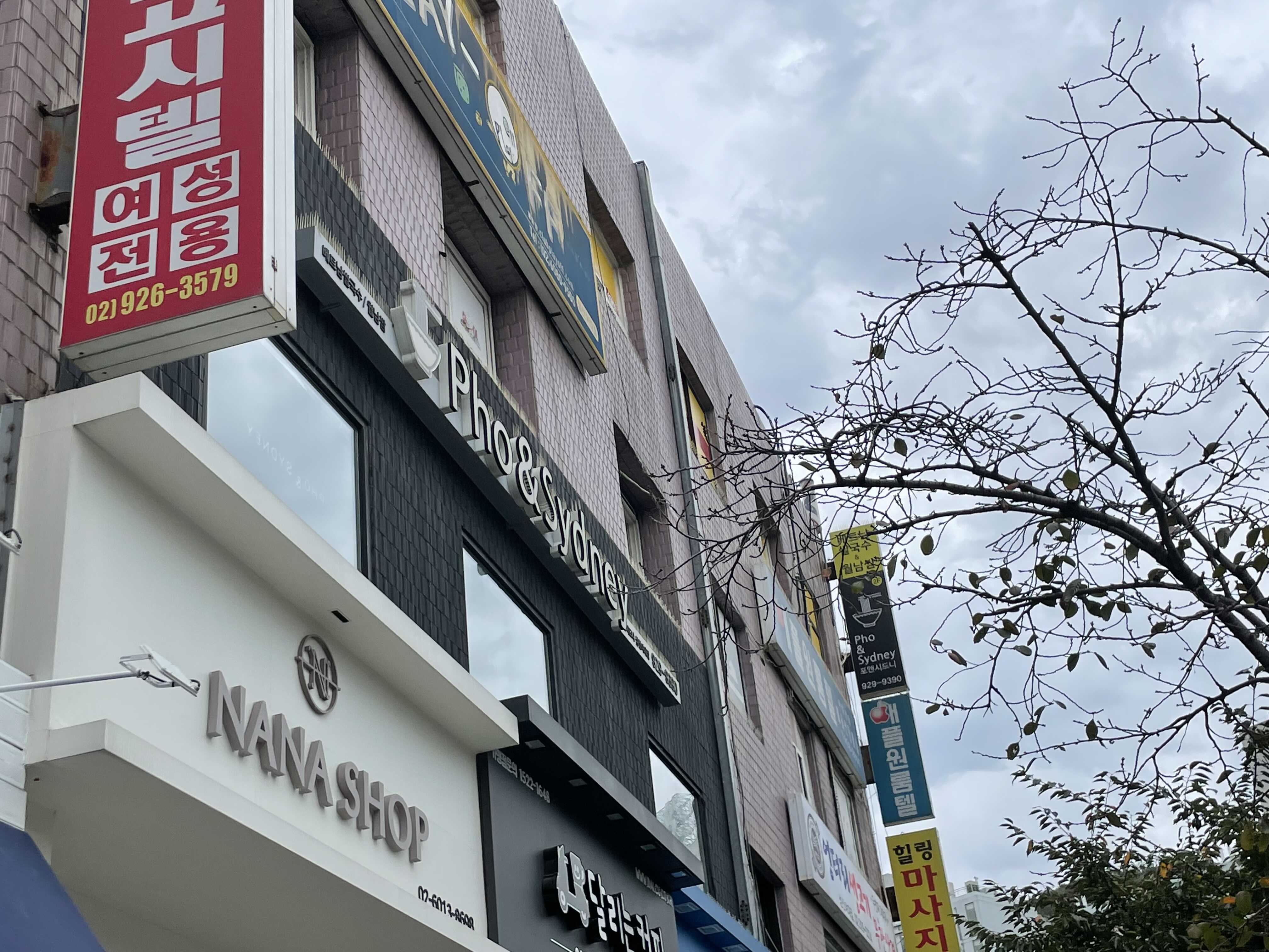 포앤시드니