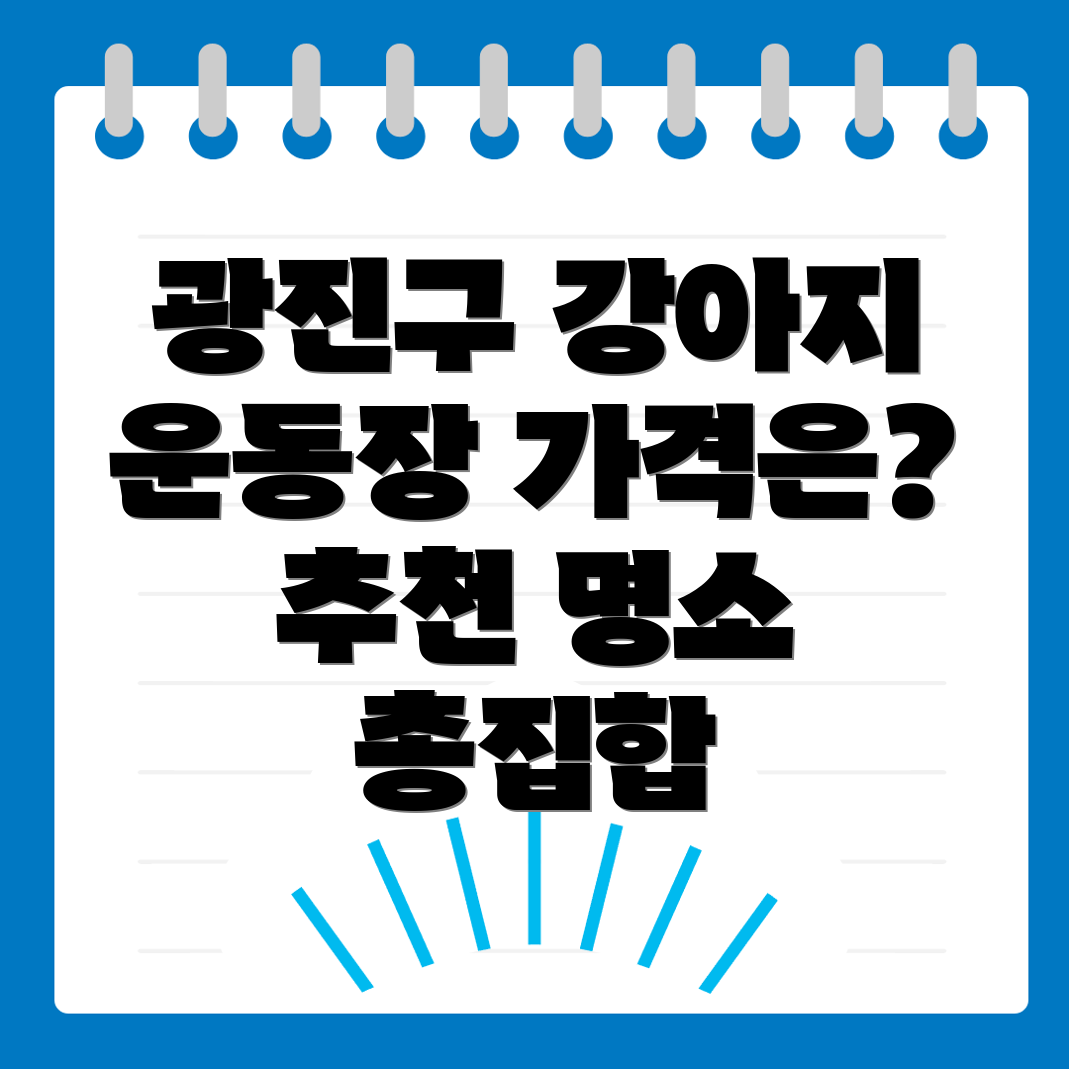 강아지 운동장