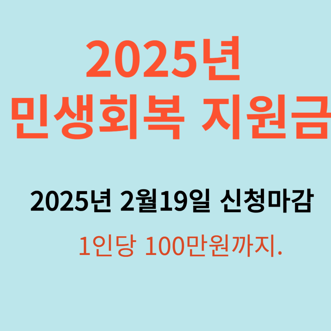 민생회복 지원금
