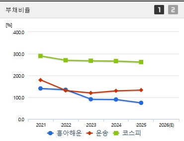 흥아해운 주가 부채비율