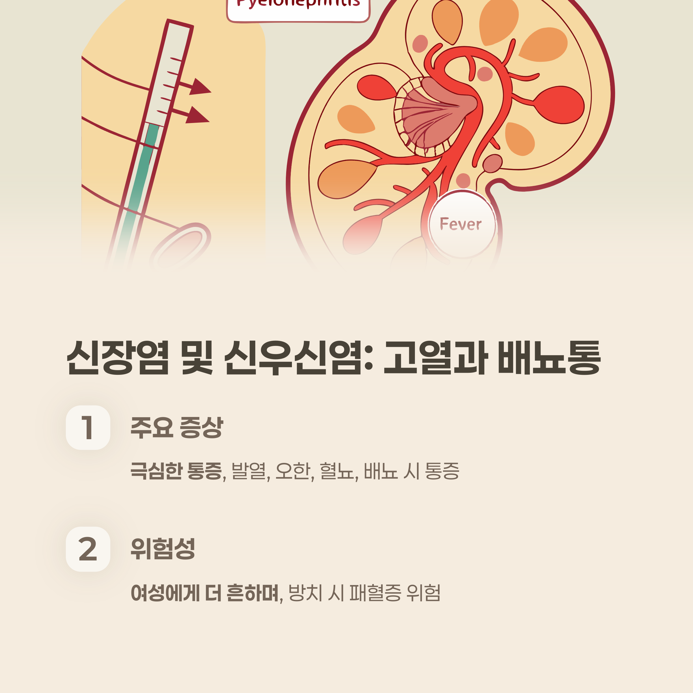 신장염 및 신우신염: 고열과 배뇨통이 함께 나타날 때