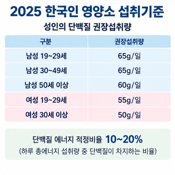 2025 한국인 영양소 섭취기준의 성인 남녀 연령별 하루 단백질 권장량을 표로 보여주는 이미지
