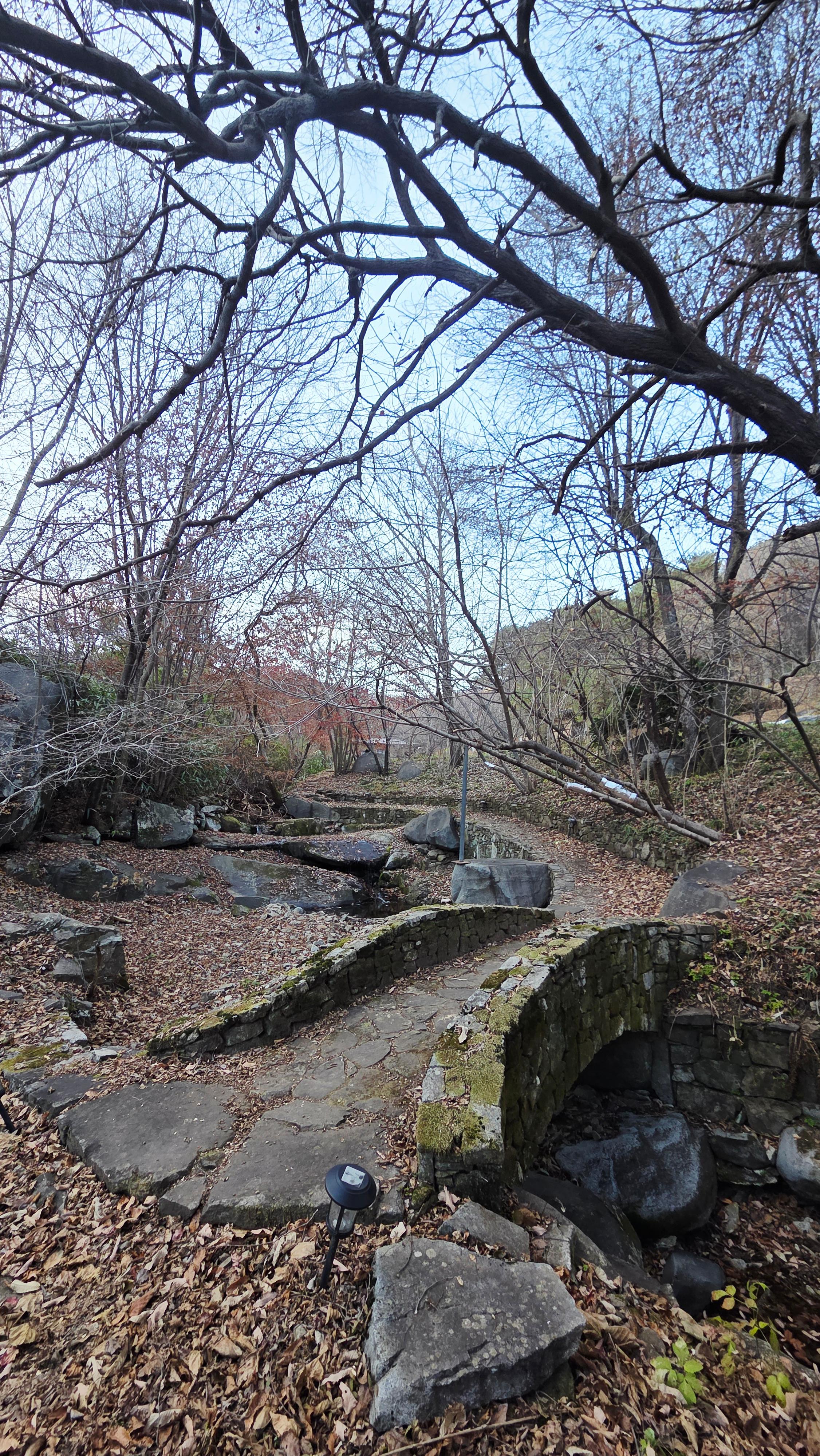고운동천 뒷마다 풍경 6
