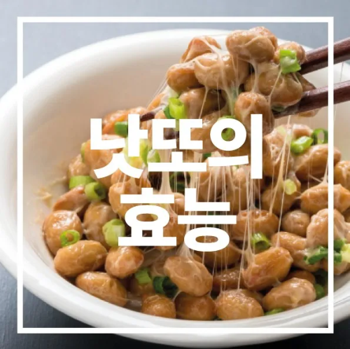 낫또의 효능