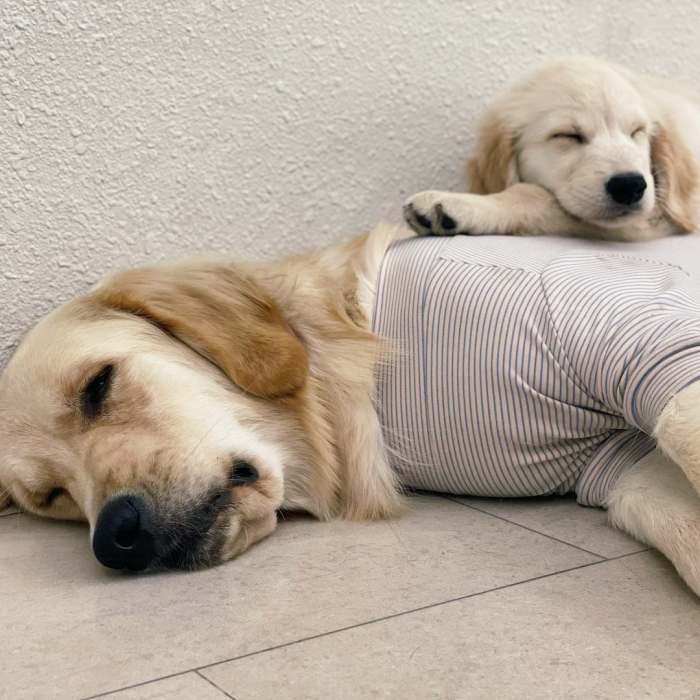 생생정보 틈새 알바 이거 어때