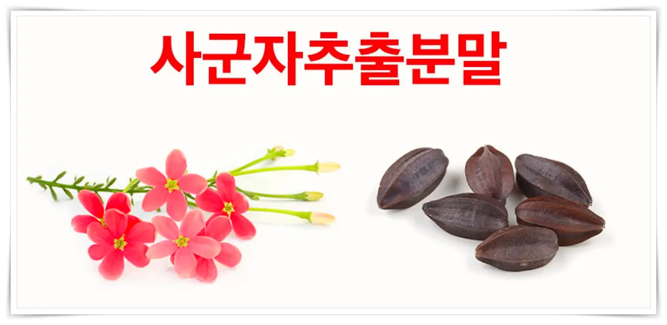 전립선 사군자 프리미엄 효능