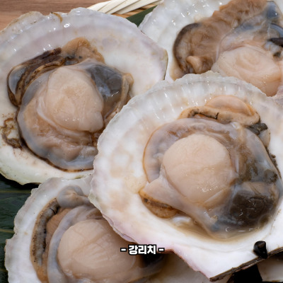 가리비 효능