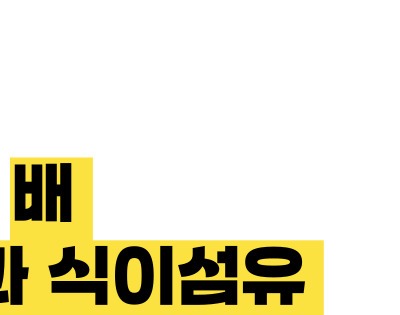 담낭염 증상