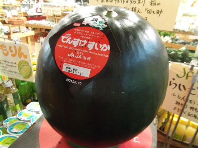 비싼 과일, 덴수케 수박, 매일꿀정보