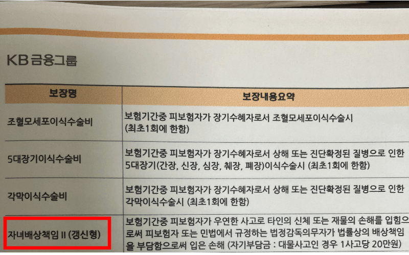 자녀배상책임-Ⅱ-(갱신형)