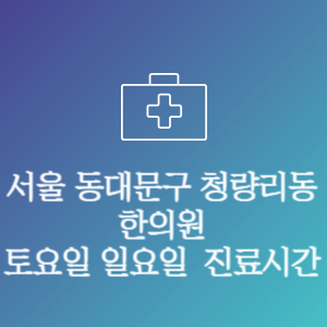 서울 동대문구 청량리동 한의원 주말 토요일 일요일 문여는 병원 진료시간