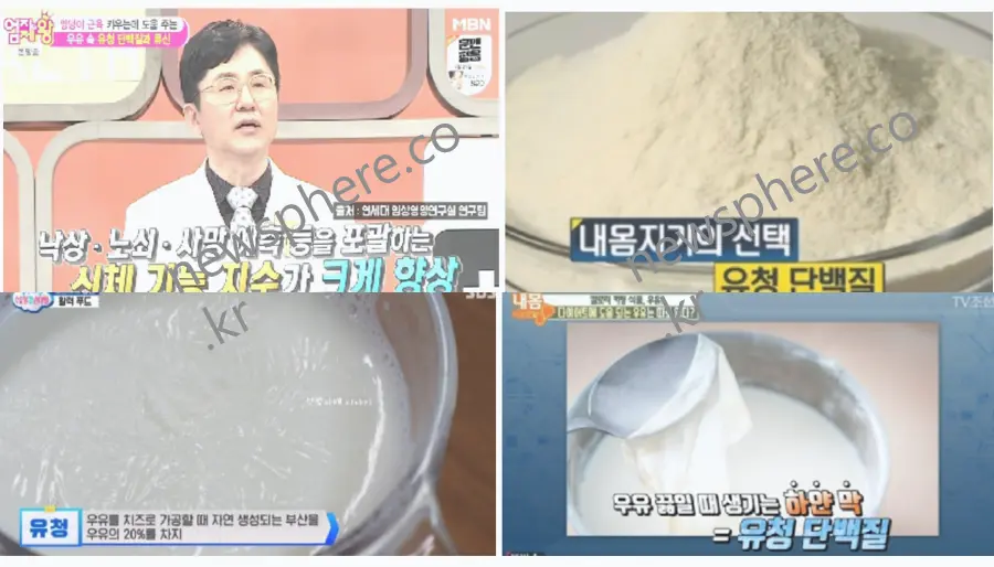유청단백질 효능
