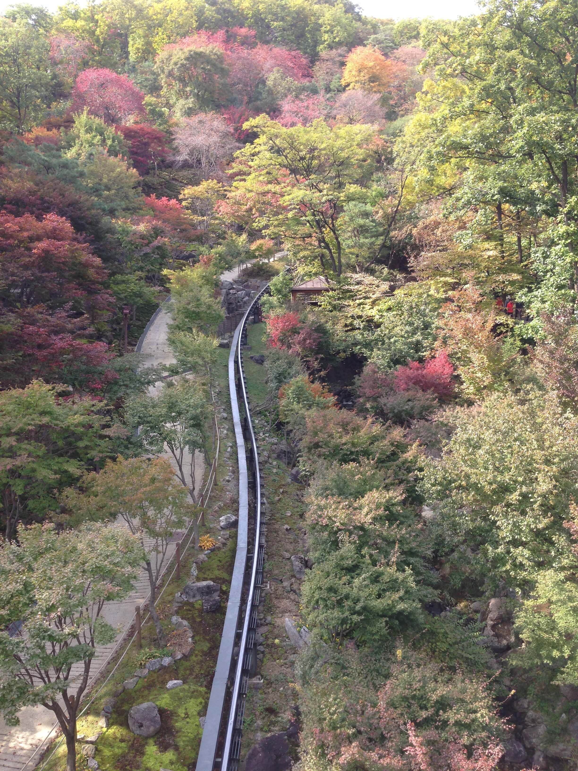 화담숲 모노레일 이미지