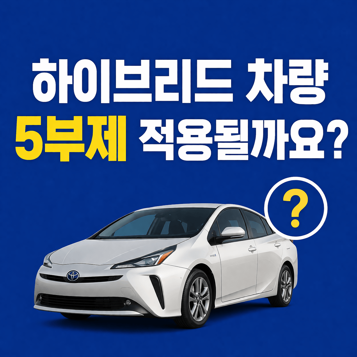 차량 5부제 제외대상, 경차&middot;전기차&middot;장애인차