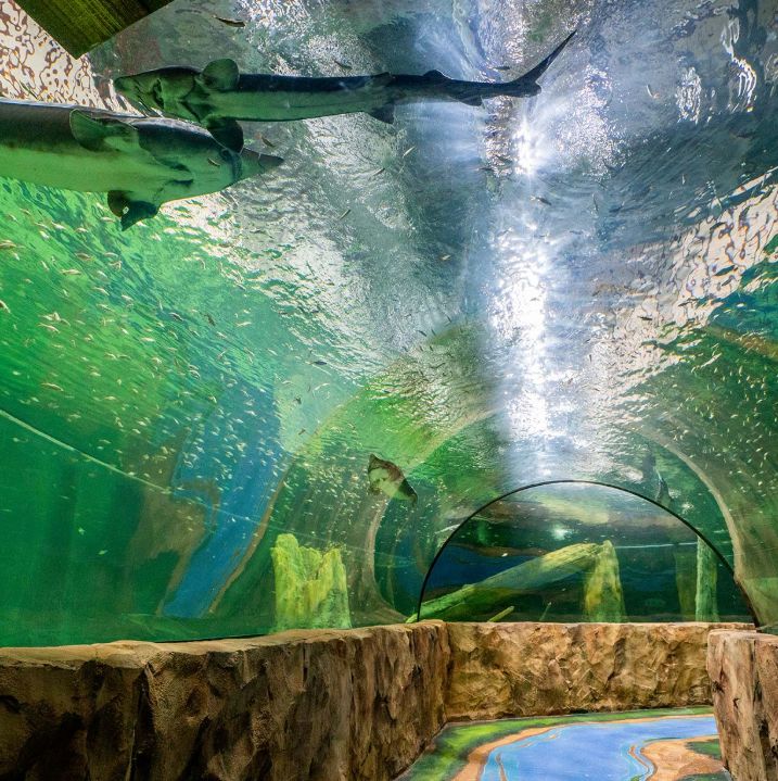 플레이아쿠아리움 부천