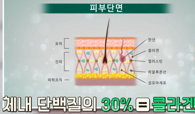 비오틴 효능