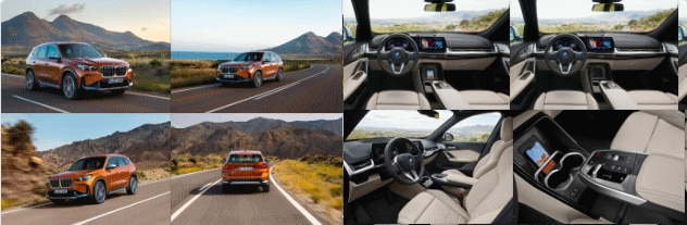 BMW X1