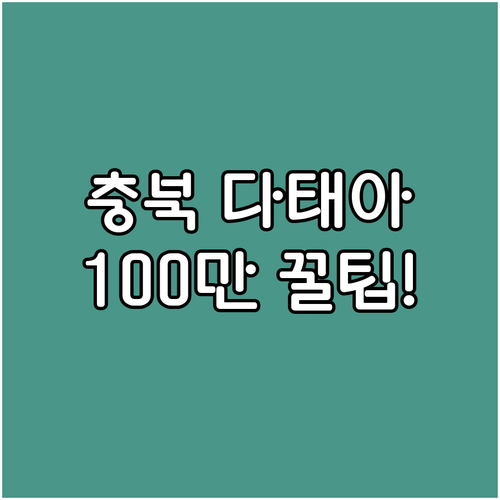 2025 충북 다태아 임산부 최대 1..