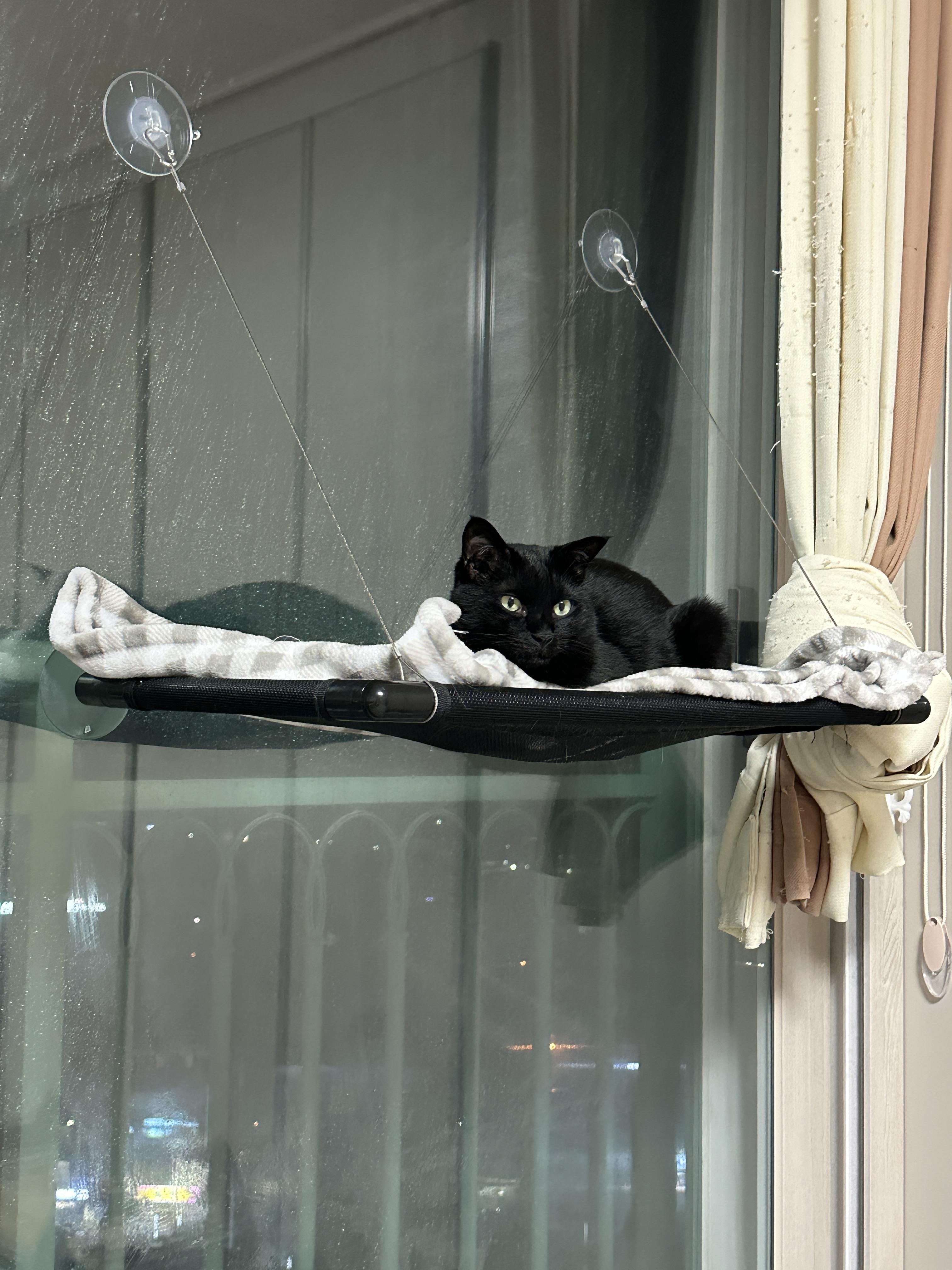 까만_해먹이랑_까만_건이랑_잘_어울린다.