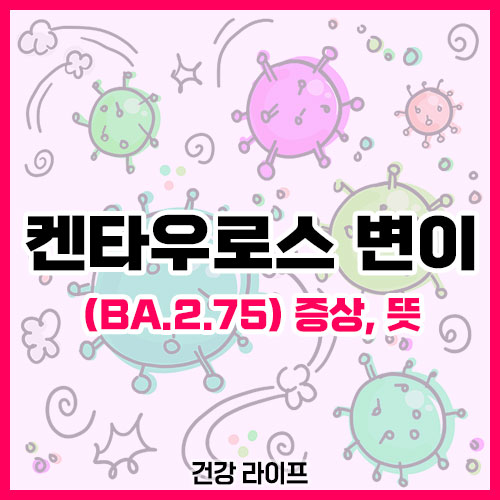 켄타우로스 변이(BA.2.75)
