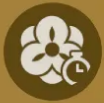 치오리 6돌