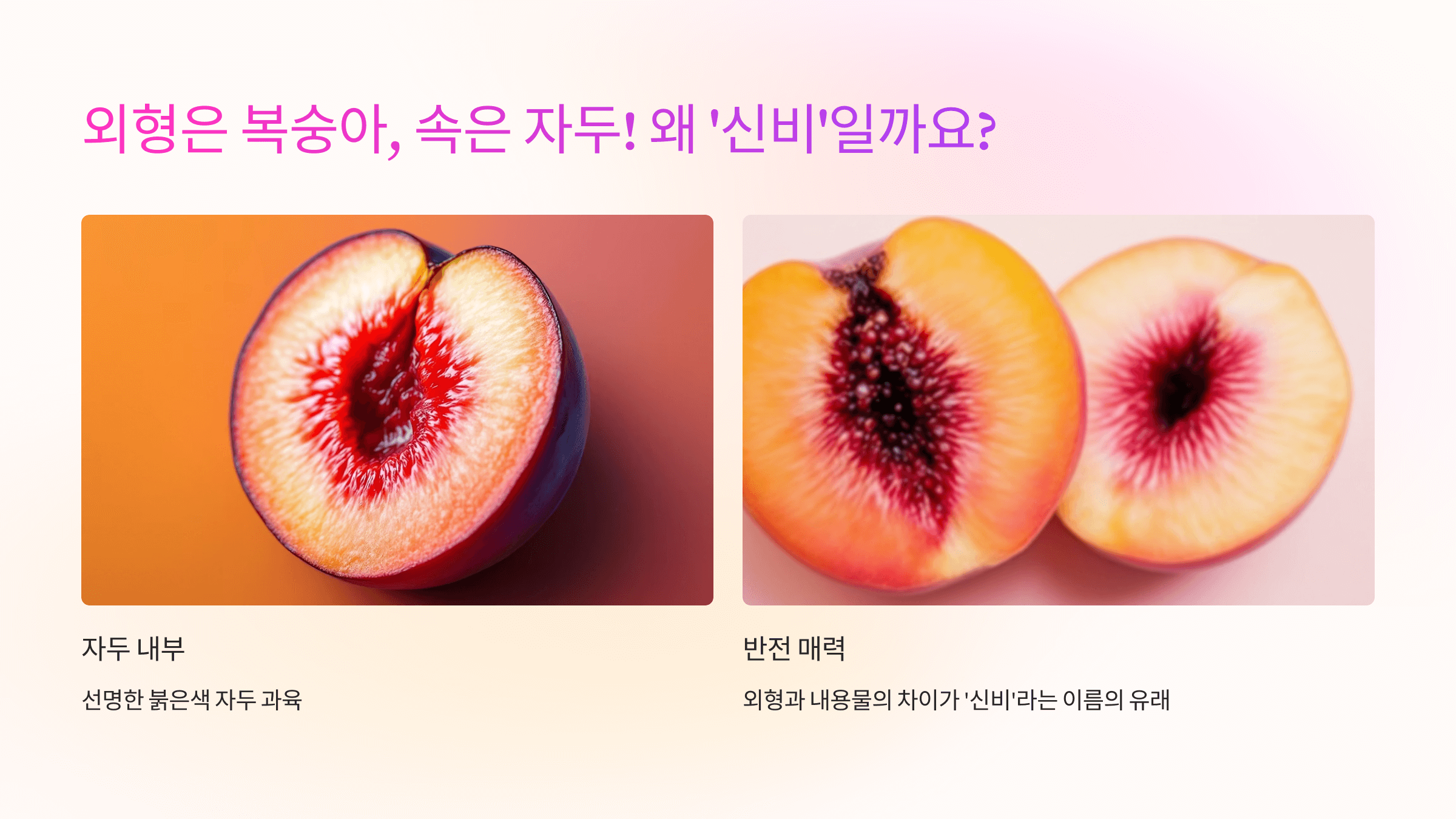 신비복숭아 사진입니다.