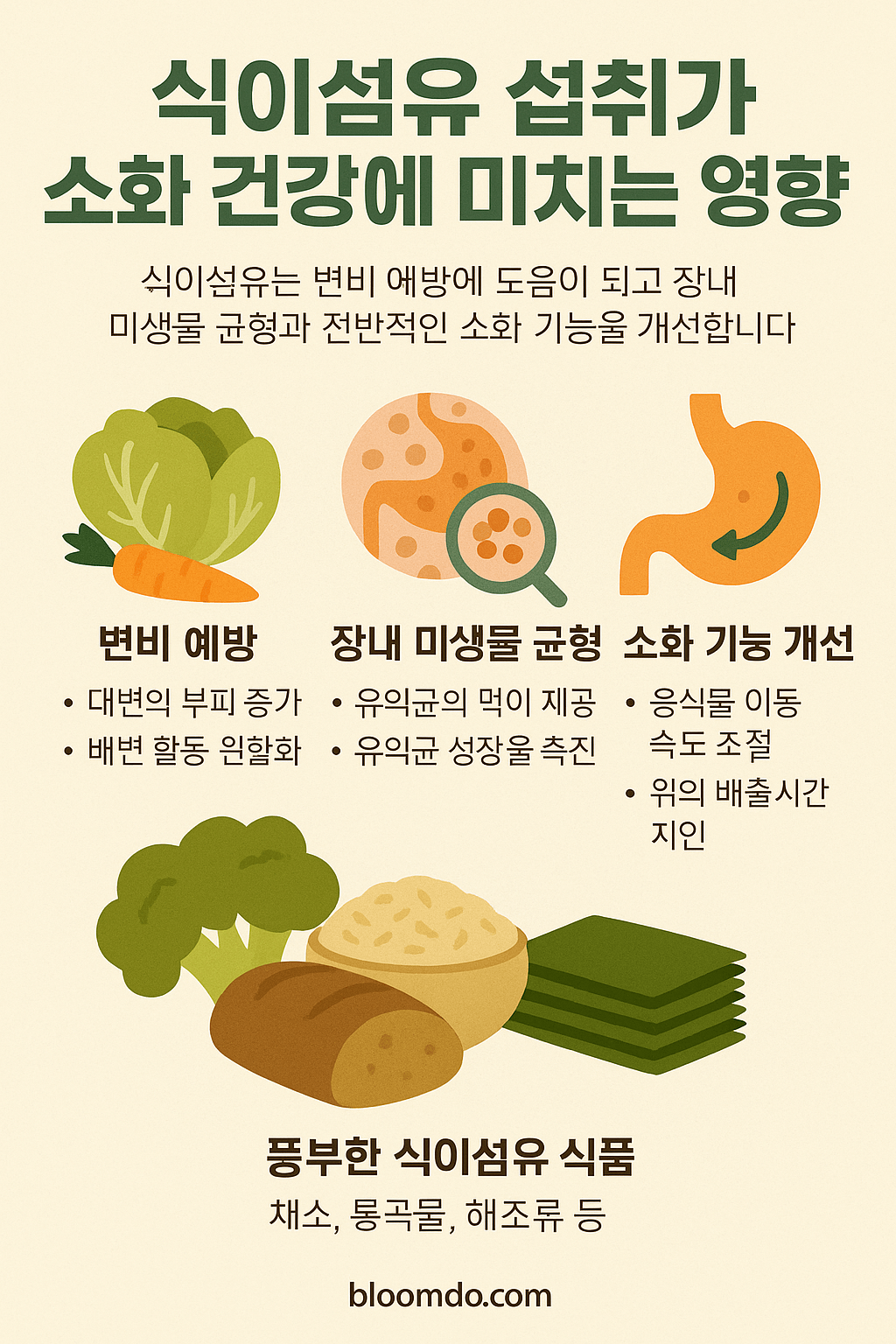 식이섬유 섭취가 소화 건강에 미치는 영향