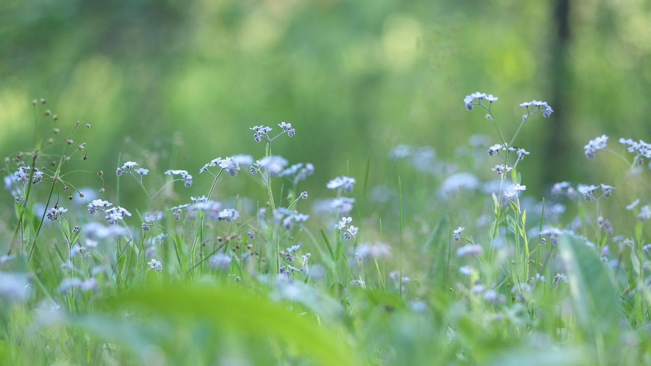 나는 왜 항상 괜찮은 척했을까